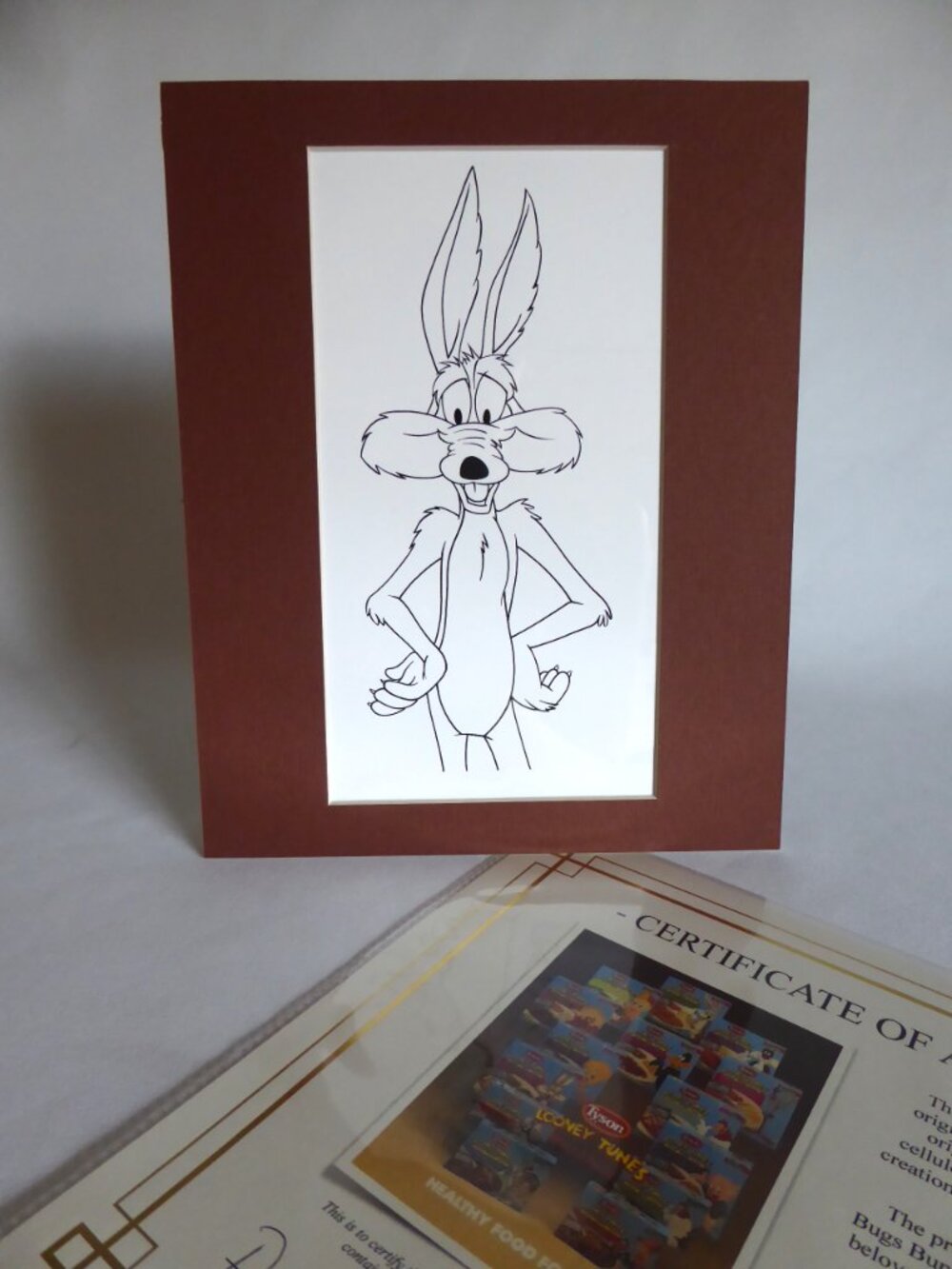 OOAK LOONEY TUNES WARNER BROS. PRODUCTION CEL ARTWORK WILE E. COYOTE (w/ C of A)